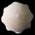 KNB-07: Acanthus Bald Finials or Knobs